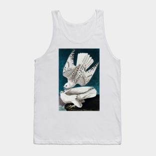 Bird of America  Bird, bird lover, america, beautiful  Public domain painting by John James Audubon Tank Top